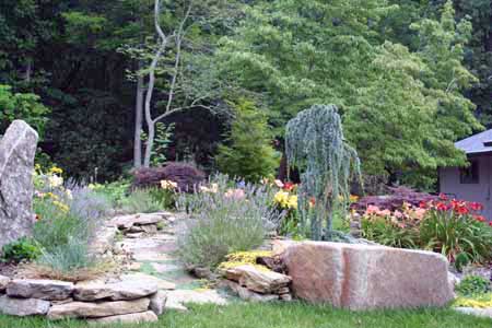 path-to-front-garden-from-drive path-to-front-garden-from-drive
