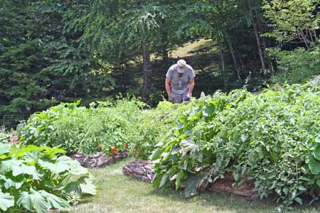 Organic Raised Bed Kitchen Garden adjacent to Main House Organic Raised Bed Kitchen Garden adjacent to Main House