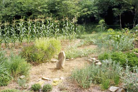 Organic Market Garden Organic Market Garden