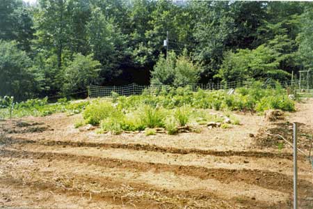 Organic Market Garden Organic Market Garden