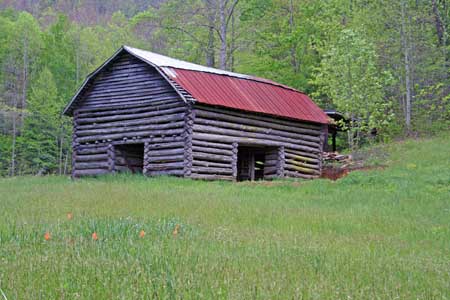 Old Chestnut Barn and Pasture next to Creek Old Chestnut Barn and Pasture next to Creek