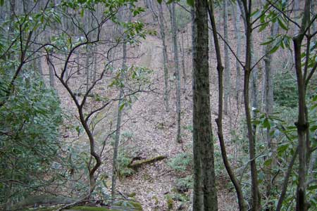 Private Road winds thru Property