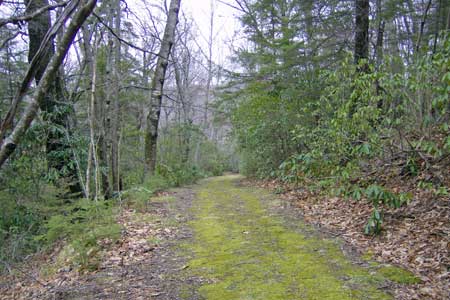 Private Road winds thru Property