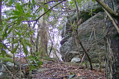 Rock Outcrops Rock Outcrops