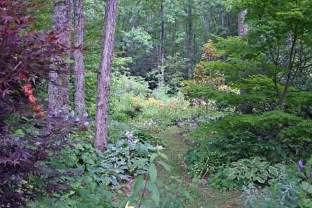 Woodland Garden with Winding Paths Woodland Garden with Winding Paths